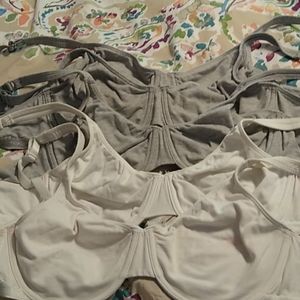Five 38C unlined cotton underwires